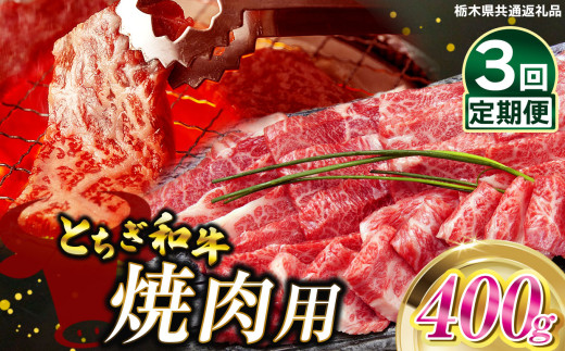 【定期便3回】とちぎ和牛焼肉用 400g | 和牛切り落とし 黒毛和牛 切り落とし 栃木県産黒毛和牛 焼肉 バーベキュー BBQ  肉 牛肉 高級 共通返礼品 ご褒美 ふるさと納税 栃木県 那珂川町 栃木県