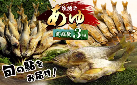 【2026年先行予約】【定期便3回】旬の「鮎」をお届け 林屋 | 早月あゆ 活〆鮎塩焼  子持ちあゆ 塩焼き 活鮎 子持ちあゆ 塩焼き  新鮮子持ち鮎 旬 定期便  お届け 林屋 鮎 旬の鮎 あゆ  直送 旬