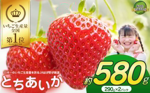 【2026年先行予約】大人気!日本一のいちご生産量を誇るJAはが野が厳選 最旬 とちあいか 290g×2P | いちご とちおとめ 甘い 美味しい 果物 共通返礼品 フルーツ デザート 栃木県 那珂川町 栃木