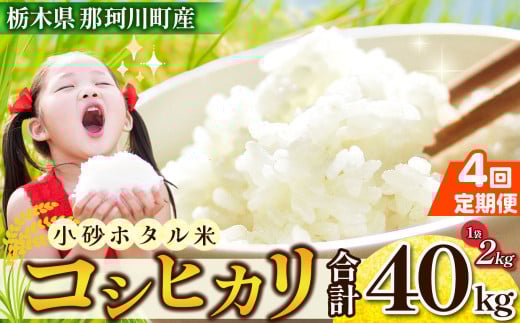 y4z [] z^40kg b        Y ͂      ăSn LO lC  ӂ邳 [ Ȗ، ߉ϐ쒬