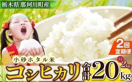 yQz [] z^ 20kg b        Y ͂      ăSn LO lC  ӂ邳 [ Ȗ، ߉ϐ