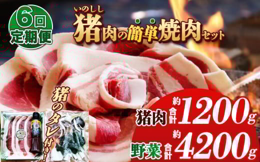 【定期便 6回】猪肉の簡単焼肉セット 900g | 肉 にく 猪肉 猪 焼肉 ご褒美 ふるさと納税 栃木県 那珂川町 栃木県那珂川町78000肉ジビエ
