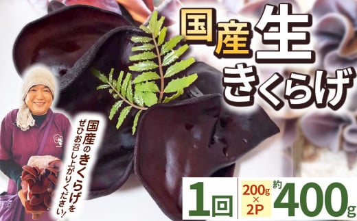 yԌz炰 200g×2P Ƃ_ | 炰 炰 H@ S JVE r^~D JE A~m_ J[ _CGbgłS \h ӂ邳 [