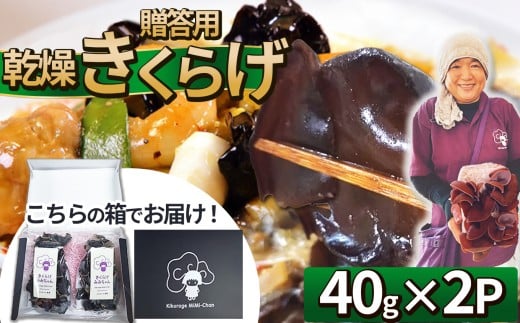 贈答用乾燥きくらげ 40g×2P ともちゃん農園 | 贈答用 乾燥 きくらげ 食物繊維 鉄分 カルシウム ビタミンD カリウム アミノ酸  高血圧予防 ふるさと 納税栃木県 那珂川町栃木県那珂川町13000野