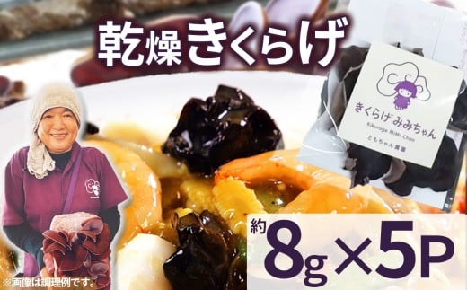 乾燥きくらげ 8g×5P ともちゃん農園| 乾燥きくらげ きくらげ 贈答用 乾燥 きくらげ 食物繊維 鉄分 カルシウム ビタミンD カリウム アミノ酸  高血圧予防 ふるさと 納税 栃木県 那珂川町 栃木