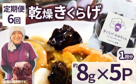 y6z炰 8g×5P Ƃ_| 炰 炰 p  炰 H@ S JVE r^~D JE A~m_  \h ӂ邳 [ 