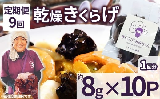 y9z炰 8g×10P Ƃ_| 炰 炰 p  炰 H@ S JVE r^~D JE A~m_  \h ӂ邳 [