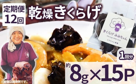 y12z炰 8g×15P Ƃ_| 炰 炰 p  炰 H@ S JVE r^~D JE A~m_  \h ӂ邳 [