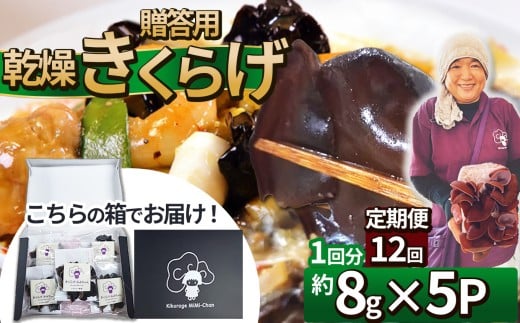 y12zp炰 8g×5P Ƃ_ | p  炰 H@ S JVE r^~D JE A~m_  \h ӂ邳 [œȖ، ߉ϐ쒬