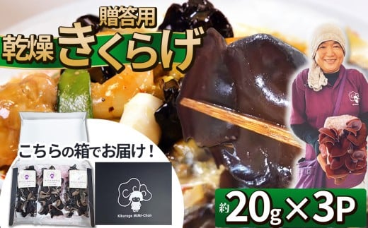 贈答用乾燥きくらげ 20g×3P ともちゃん農園 | 贈答用 乾燥 きくらげ 食物繊維 鉄分 カルシウム ビタミンD カリウム アミノ酸  高血圧予防 ふるさと 納税栃木県 那珂川町栃木県那珂川町11000野