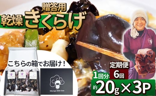 y6zp炰 20g×3P Ƃ_ | p  炰 H@ S JVE r^~D JE A~m_  \h ӂ邳 [œȖ، ߉ϐ쒬