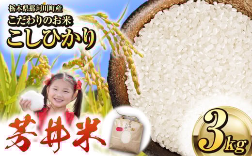 那珂川町産芳井米 3kg | お米 精米 美味しい 白米 とちぎ 玄米 共通返礼品  那珂川町 栃木県栃木県那珂川町9000米・パン白米