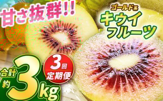 y2025Ns\zy3zÂQ̃S[hn LECt[c 1kg | ʕ  t[c  ₳ TC LEC  S[hLEC [ǂ VN tbV 