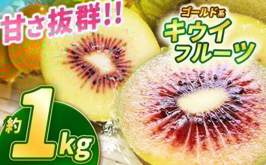 【2025年先行予約】甘さ抜群のゴールド系 キウイフルーツ 約1kg | 果物 くだもの フルーツ 野菜 やさい ヤサイ キウイ きうい ゴールドキウイ ごーるどきうい 新鮮 フレッシュ 甘い 美味しい