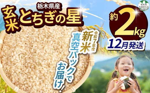 【令和7年度新米】【毎月500個限定!】【栃木県共通返礼品】 栃木県産とちぎの星 2kg(玄米真空パック)12月分 | 新米 とちぎの星 玄米 米 ごはん  冷めてもおいしい ふるさと納税 那珂川町