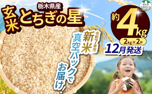 【令和7年度新米】【毎月500個限定!】【栃木県共通返礼品】 栃木県産とちぎの星 2kg×2(玄米真空パック)12月分 | 新米 とちぎの星 玄米 米 ごはん  冷めてもおいしい ふるさと納税 那珂川