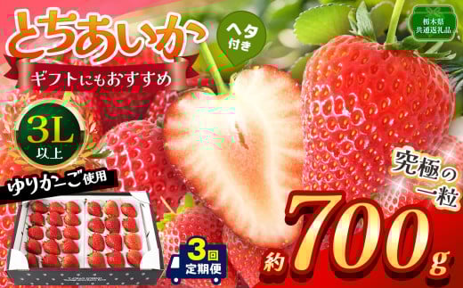 yȖ،ʕԗizy3zys\zƂ 3Lȏz[l 700g |  Ƃ M ̂ 嗱 VN Â     ʕ ʕԗi t[c fU[g