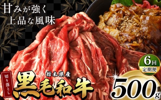 y6zȖ،Yјa؂藎Ƃ 500g  |  6 ~  a јa Ȃ̖؍ ؂藎Ƃ Ƃ낯 i _炩   Yi ӂ邳 [ Ȗ، ߉ϐ