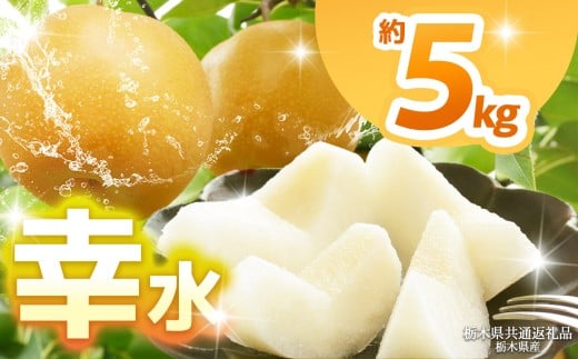 【栃木県共通返礼品】【2026年先行予約】幸水 約5kg  | 梨 なし ナシ 新品種 先行予約 大粒 新鮮 甘い 美味しい 果物 くだもの フルーツ ふるーつ 共通返礼品 フルーツ デザート 栃木県 那珂川