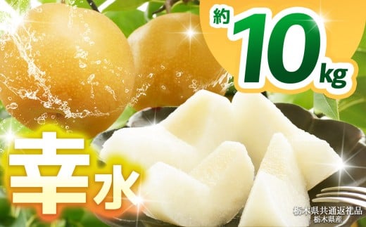 【栃木県共通返礼品】【2026年先行予約】幸水 約10kg  | 梨 なし ナシ 新品種 先行予約 大粒 新鮮 甘い 美味しい 果物 くだもの フルーツ ふるーつ 共通返礼品 フルーツ デザート 栃木県 那珂川