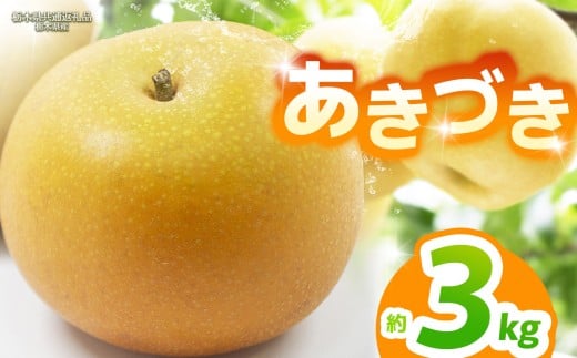 【栃木県共通返礼品】【2026年先行予約】あきづき 約3kg |あきづき 梨 なし ナシ 新品種 先行予約 大粒 新鮮 甘い 美味しい 果物 くだもの フルーツ ふるーつ 共通返礼品 フルーツ デザート 栃