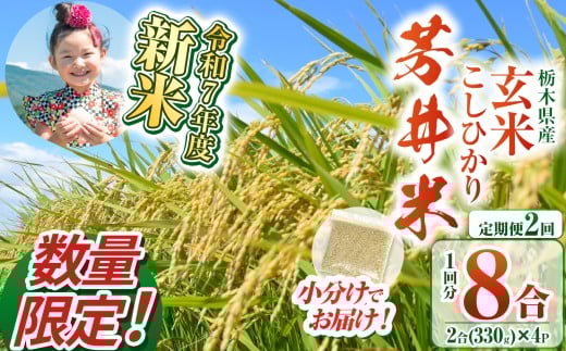 【定期便2回】【数量限定】【令和7年度新米】新米那珂川町産芳井米 玄米 330g(2合分)×4 | こしひかり 新米 米 ごはん  ふっくら もちもち  ふるさと納税 那珂川町 栃木県栃木県那珂川町10000