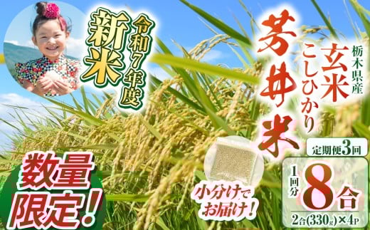 【定期便3回】【数量限定】【令和7年度新米】新米那珂川町産芳井米 玄米 330g(2合分)×4 | こしひかり 新米 米 ごはん  ふっくら もちもち  ふるさと納税 那珂川町 栃木県栃木県那珂川町15000