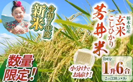 【数量限定】【令和7年度新米】新米那珂川町産芳井米 玄米 330g(2合分)×8 | こしひかり 新米 米 ごはん  ふっくら もちもち  ふるさと納税 那珂川町 栃木県栃木県那珂川町9000米・パン白米