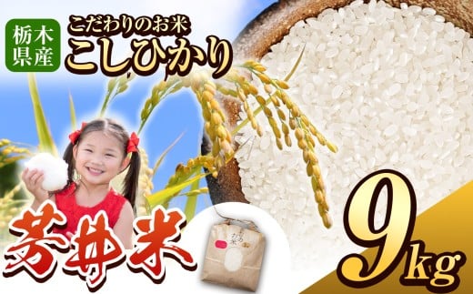 那珂川町産芳井米 3kg×3 | コシヒカリ お米 精米 美味しい 白米 とちぎ 玄米 共通返礼品  那珂川町 栃木県栃木県那珂川町22000米・パン白米