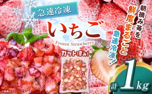 yȖ،ʕԗizⓀ 1kg |  Ƃ Ⓚ ⓀC`S XC[c W X[W[ Ղ 嗱  Â  ʕ fU[g Ȗ، ߉ϐ쒬 Ȗ،߉ϐ쒬6000ʕ