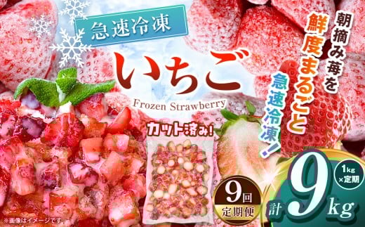 yȖ،ʕԗizy9zⓀ 1kg |   Ƃ Ⓚ ⓀC`S XC[c W X[W[ Ղ 嗱  Â  ʕ fU[g Ȗ، ߉ϐ쒬