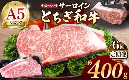 【栃木県共通返礼品】【定期便6回】宮福笑牛(とちぎ和牛) A5 サーロインステーキ 約200gx2枚 | 定期便 和牛 A5ランク サーロイン ステーキ 美味しい 高級 ご褒美 肉 お肉 おにく にく ふる