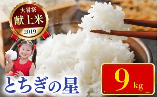 令和7年新米 石井米(とちぎの星) 9kg | ふるさと納税 とちぎの星 那珂川町産 美味しい お弁当 おにぎり おいしい 数量限定 ご飯  栃木県 那珂川町栃木県那珂川町37000米・パン白米