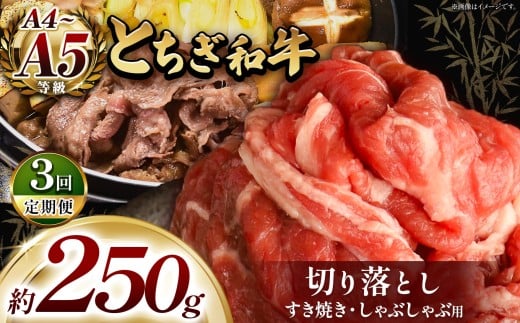 【定期便3回】最高位賞を受賞!最高級ブランドの柔らかく風味豊かなとちぎ和牛切り落とし 250g(すき焼き・しゃぶしゃぶ用) | 霜降り 和牛 切り落とし とろける 品質 柔らかく 銘柄牛 安