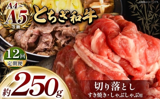 【定期便12回】最高位賞を受賞!最高級ブランドの柔らかく風味豊かなとちぎ和牛切り落とし 250g(すき焼き・しゃぶしゃぶ用) | 霜降り 和牛 切り落とし とろける 品質 柔らかく 銘柄牛 安
