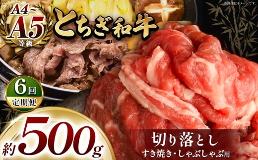 【定期便6回】最高位賞を受賞!最高級ブランドの柔らかく風味豊かなとちぎ和牛切り落とし 500g(すき焼き・しゃぶしゃぶ用) | 霜降り 和牛 切り落とし とろける 品質 柔らかく 銘柄牛 安