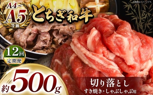【定期便12回】最高位賞を受賞!最高級ブランドの柔らかく風味豊かなとちぎ和牛切り落とし 500g(すき焼き・しゃぶしゃぶ用) | 霜降り 和牛 切り落とし とろける 品質 柔らかく 銘柄牛 安