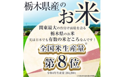 yȖ،ʕԗizyߘa7NxVāzȖ،YƂ̐ 60kg | Iׂ ӂ邳 [ Ƃ̐     嗱 ʕԗi  ߉ϐ쒬 Ȗ،Ȗ،߉ϐ쒬158400āEp