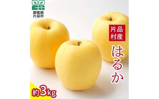 はるか りんご 約3kg群馬県片品村12000果物・フルーツりんご・梨
