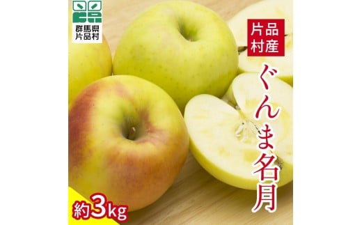 ぐんま名月 りんご 約3kg群馬県片品村12000果物・フルーツりんご・梨