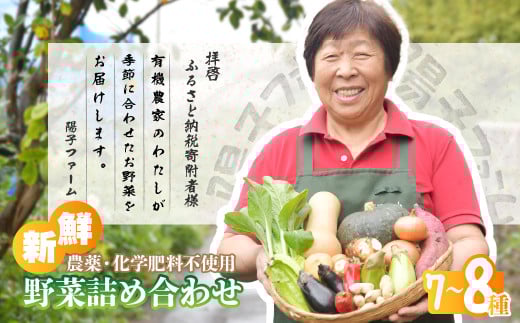 旬の野菜詰め合わせ7種~8種 | 野菜 季節の野菜 旬の野菜 新鮮野菜 産地直送 栽培期間中農薬不使用 有機 オーガニック フレッシュ セット 詰め合わせ サラダ 料理 炒め物 煮物 スムージー 旬