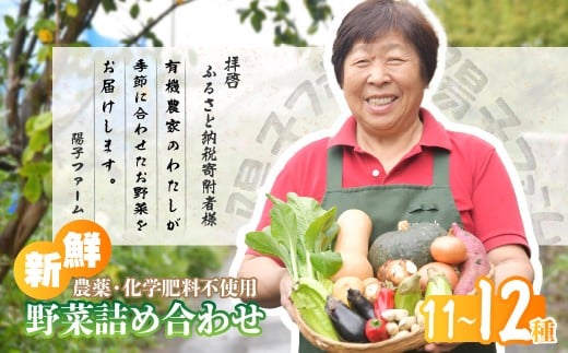 旬の野菜詰め合わせ11種~12種 | 野菜 季節の野菜 旬の野菜 新鮮野菜 産地直送 栽培期間中農薬不使用 有機 オーガニック フレッシュ セット 詰め合わせ サラダ 料理 炒め物 煮物 スムージー 旬