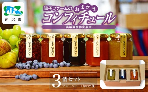 ジャム コンフィチュール おまかせ3瓶 (140g/瓶) | ジャム じゃむ 朝食 パンブルーベリー キウイ あんず いちじく シャインマスカット ルバーブ 果物 食感 セット 詰め合わせ 旬 おいしい 安全