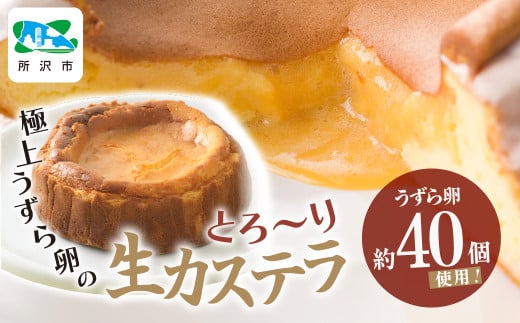 生カステラ 極上うずら卵のとろ〜り生カステラ 1箱 | 生カステラ カステラ 卵 うずら うずらの卵 濃厚 クリーミー スイーツ お菓子 焼き菓子 洋菓子 和菓子 デザート おいしい おすすめ お土