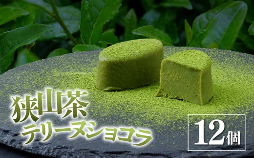 狭山茶テリーヌショコラ 12個入り エミール | 洋菓子 お菓子 ギフト 贈答 贈り物 プレゼント 個包装 小分け スイーツ おやつ 抹茶 狭山茶 ショコラ チョコ チョコレート おすすめ emile 埼玉県