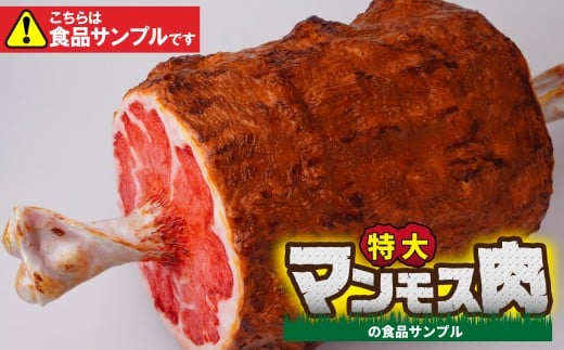 HiTv I}X | HiTv CeA  u  t A[g  蕨 yY v[g  lC FAKE FOOD HATANAKA  ʌ sʌs240000