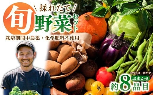 採れたて福bio旬野菜セット (約8品目) | 野菜 野菜詰め合わせ 野菜セット 詰め合わせ 詰合せ セット 産地直送 福bio菜園 埼玉県 所沢市埼玉県所沢市10000野菜・きのこその他 野菜