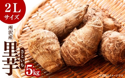  2L 5kg  | Ƃ TgC   C    ϕ ύ   aH VN @肽 ˂Ƃ Y Yn Gߌ p Mtg }_ ʌ sʌ