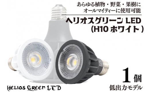 A琬CguwIXO[LEDiHG10zCgjv(BN040)ʌts25000diƓd