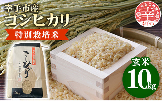 【令和7年産】有機肥料100% 埼玉県幸手市産特別栽培コシヒカリ 玄米10kg - 2025年10月1週目より順次発送 新米発送 コシヒカリ こしひかり 米 玄米 10kg 有機肥料 特別栽培幸手市産 埼玉県 幸手